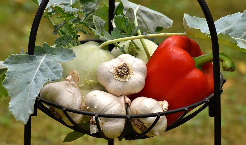 Plant a Garden